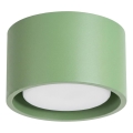 Corp de iluminat tip spot MODO 1xGX53/10W/230V verde