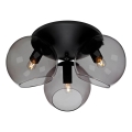 Cottex - Plafonieră CAPELLA 3xE14/40W/230V, Ø 37 cm, fumurie/neagră
