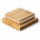 Cutie alimentară din ceramică cu capac 10x10x34 cm ficus de cauciuc Continenta C3915