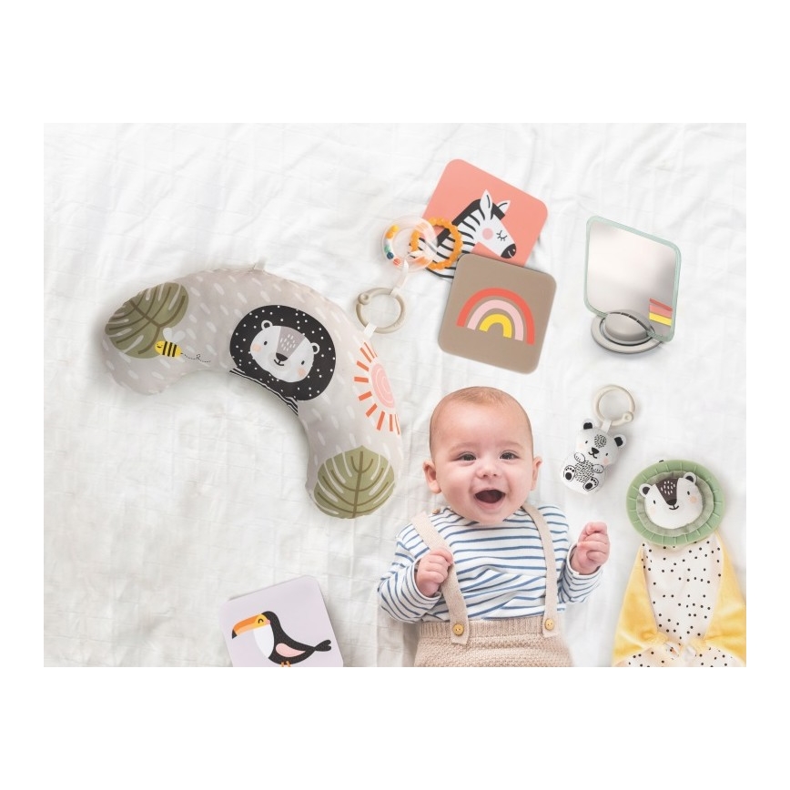 Cutie cadou HELLO BABY Taf Toys
