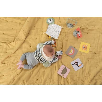 Cutie cadou HELLO BABY Taf Toys