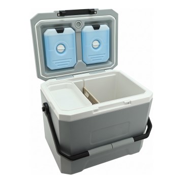 Cutie frigorifică cu insert refrigerant, 16 l, gri
