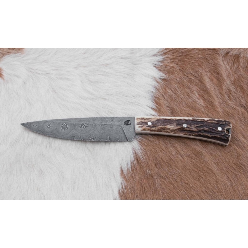 Cuțit de vânătoare de precizie din oțel de Damasc cu minifierăstrău 12 cm corn de cerb