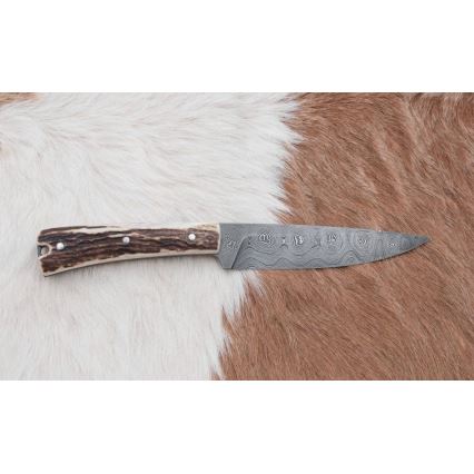 Cuțit de vânătoare de precizie din oțel de Damasc cu minifierăstrău 12 cm corn de cerb