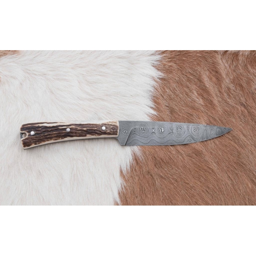Cuțit de vânătoare de precizie din oțel de Damasc cu minifierăstrău 12 cm corn de cerb
