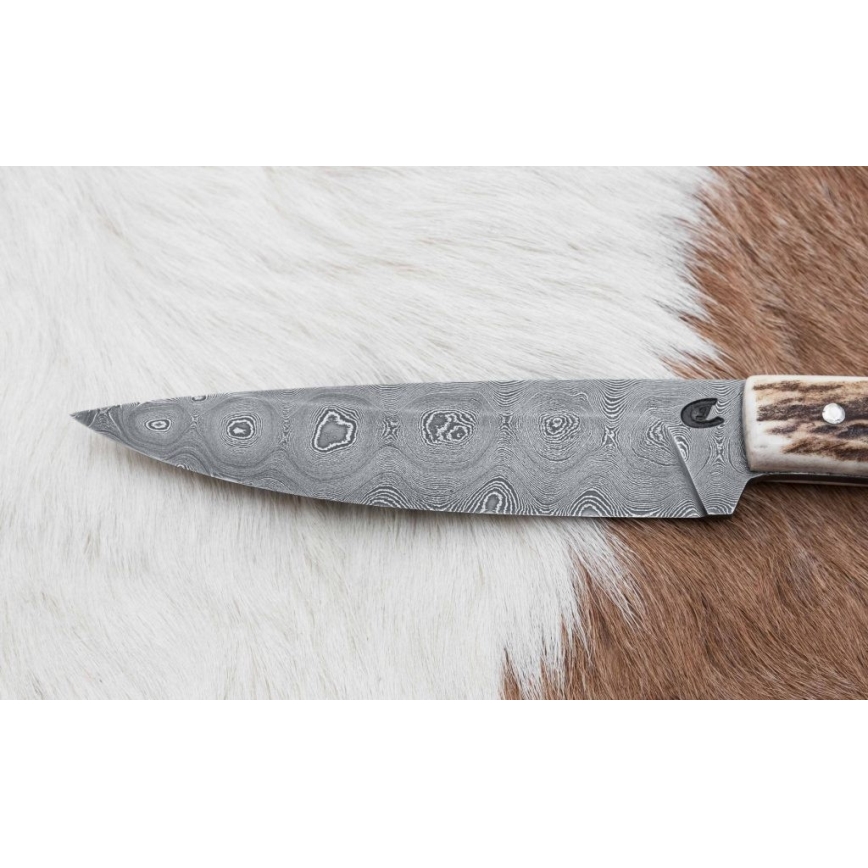 Cuțit de vânătoare de precizie din oțel de Damasc cu minifierăstrău 12 cm corn de cerb