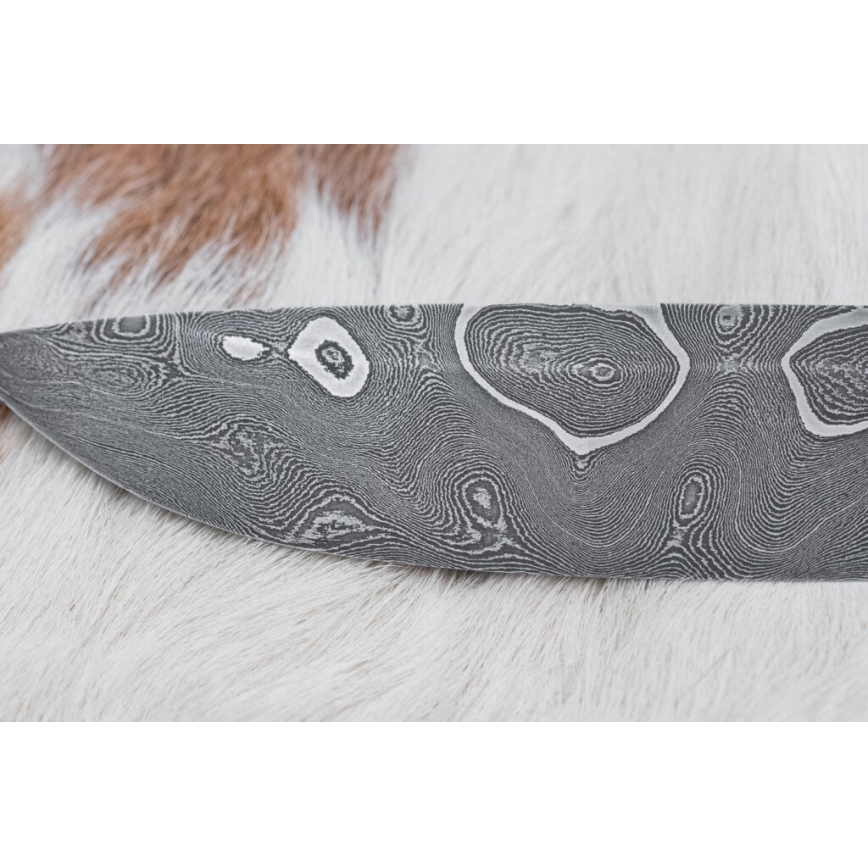 Cuțit de vânătoare din oțel de Damasc 11,6 cm arțar/abanos