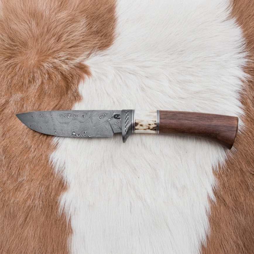 Cuțit de vânătoare din oțel de Damasc 11,8 cm nuc/corn de cerb