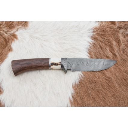 Cuțit de vânătoare din oțel de Damasc 11,8 cm nuc/corn de cerb