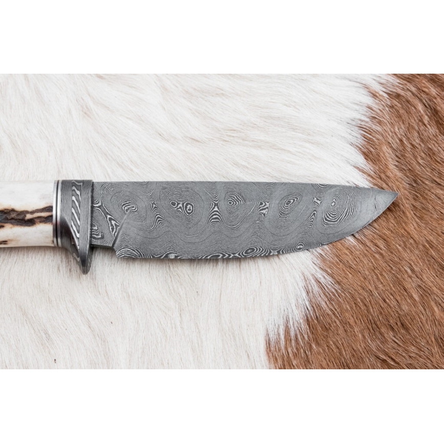 Cuțit de vânătoare din oțel de Damasc 11,8 cm nuc/corn de cerb