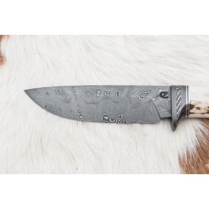 Cuțit de vânătoare din oțel de Damasc 11,8 cm nuc/corn de cerb