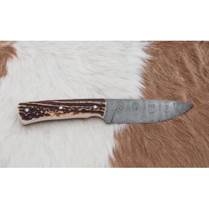 Cuțit de vânătoare din oțel de Damasc 11 cm corn de cerb