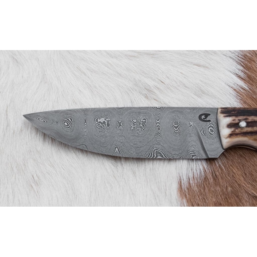 Cuțit de vânătoare din oțel de Damasc 11 cm corn de cerb