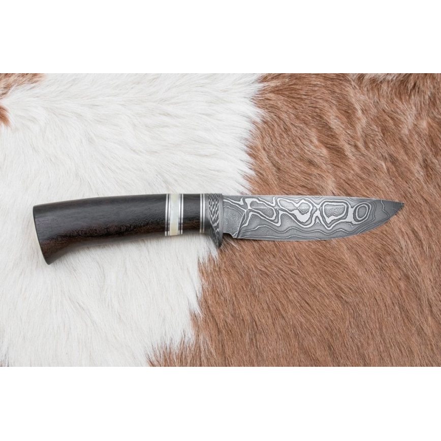 Cuțit de vânătoare din oțel de Damasc 12,7 cm ziricot/os de bivol