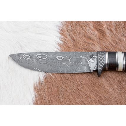 Cuțit de vânătoare din oțel de Damasc 12,7 cm ziricot/os de bivol
