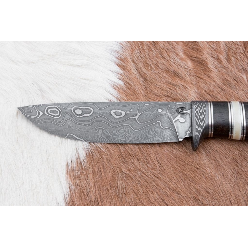 Cuțit de vânătoare din oțel de Damasc 12,7 cm ziricot/os de bivol