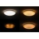 Dalen DL-C415TXW - LED plafoniera STAR SKY LED/38W/230V