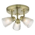 Där Lighting CED7675 - Aplică spot pentru baie CEDRIC 3xG9/25W/230V IP44 alamă