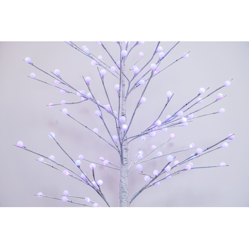 Decorațiune LED RGB+CW de Crăciun de exterior Immax NEO 07750L NEO LITE LED/7,2W/230V 1,8m IP44 Wi-Fi Tuya pom