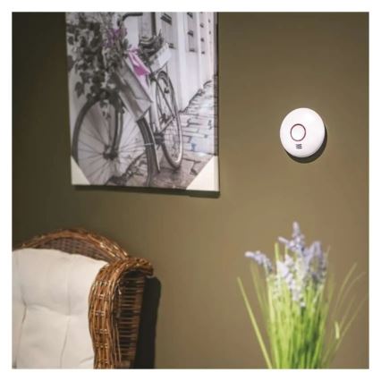 Detector de fum, alimentat cu 2 baterii AA