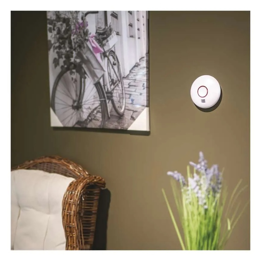 Detector de fum, alimentat cu 2 baterii AA