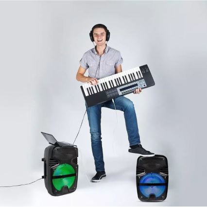 Difuzor portabil cu microfon Bluetooth 15W/3,7V LED RGB + telecomandă