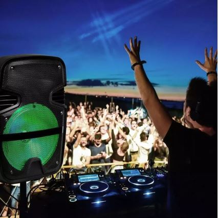 Difuzor portabil cu microfon Bluetooth 15W/3,7V LED RGB + telecomandă