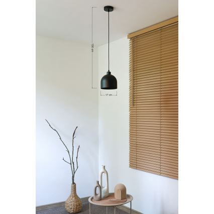 Duolla IRONLINE - Pendul pe cablu, 1x E27/15W/230V, Ø 17 cm, negru