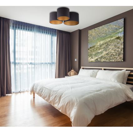 Duolla - Plafonieră ROLLER TRIO 3xE27/60W/230V antracit