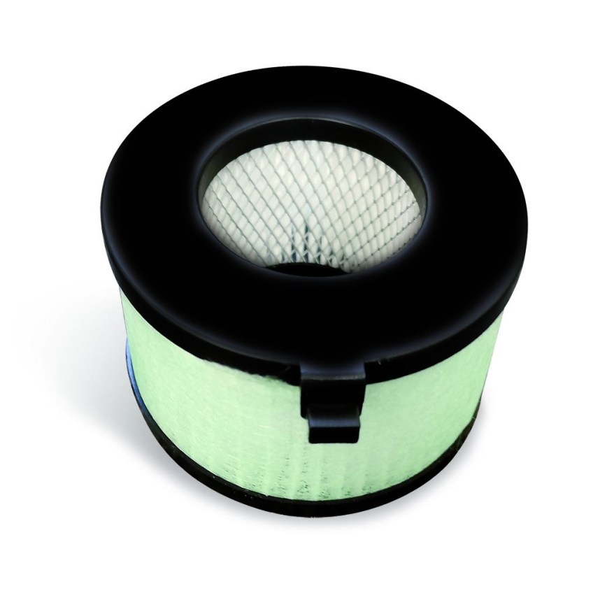 EcoStep 10306 - Uscător de mâini R4.1 720W/230V, grafit