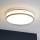 Eglo 31025 - Plafonieră pentru baie PALERMO 1xE14/40W/230V IP44