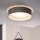 Eglo 31623 - Plafonieră LED MASERLO LED/16W/230V 3000K Ø 40,5 cm gri/argintiu