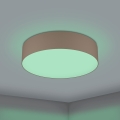 Eglo 31767 - Plafonieră LED RGBW reglabilă ROMAO-Z LED/35W/230V 2700-6500K Ø 57 cm taupe
