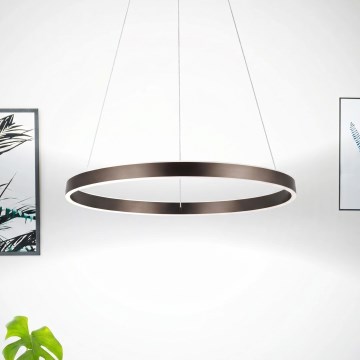 Eglo 33483 - Pendul LED suspendat pe cablu ALCAZABA 2xLED/18W/230V 3000K Ø55 cm, bronz