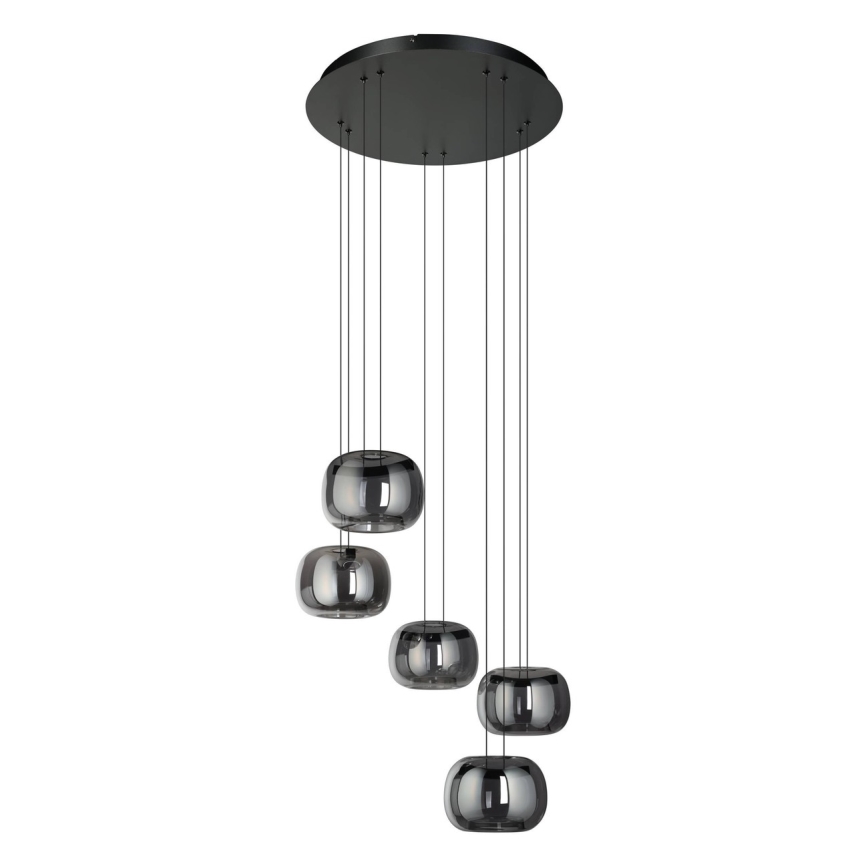 Eglo - Lustră LED dimabilă suspendată pe cablu 5xLED/5,8W/230V negru/fumuriu