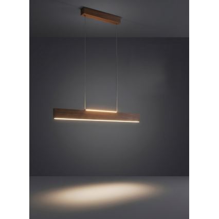 Eglo - Lustra LED reglabilă suspendată pe cablu LED/21W/230V + LED/8,4W nuc