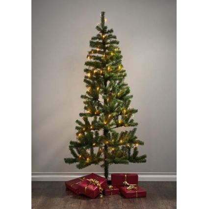 Eglo - Instalație luminoasă LED pentru exterior, 80 LED-uri, 10,5 m, IP44, alb cald