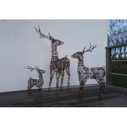 Eglo - Decorațiune de Crăciun LED pentru exterior, 64 x LED/0,066 W/3/230 V IP44