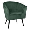 Eglo 424945 - Fotoliu AMPAHA 78x70 cm verde