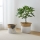 Eglo 426584 - Set de 2 coșuri decorative NANAE 30x31 cm alb/bej