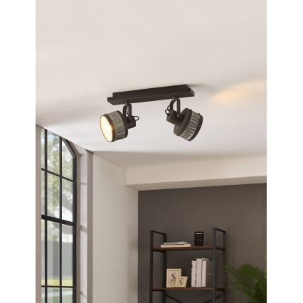 Eglo 43445 - Spot TURROCK 2xE27/28W/230V