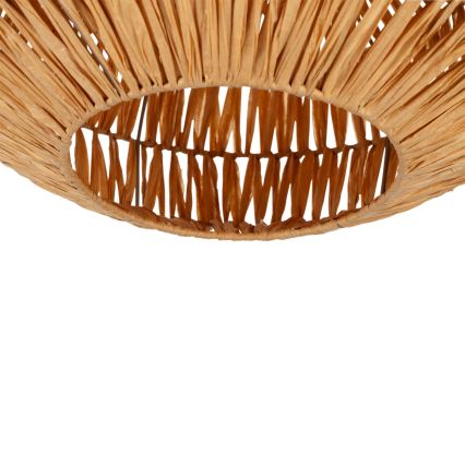 Eglo - Plafonieră 1xE27/40W/230V, Ø 38 cm, maro