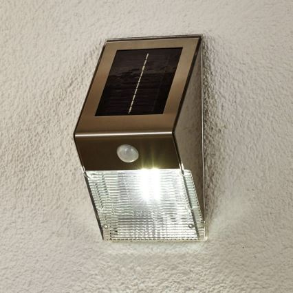 Eglo 48591 - LED Lampă solară SOLAR 4xLED/0,5W
