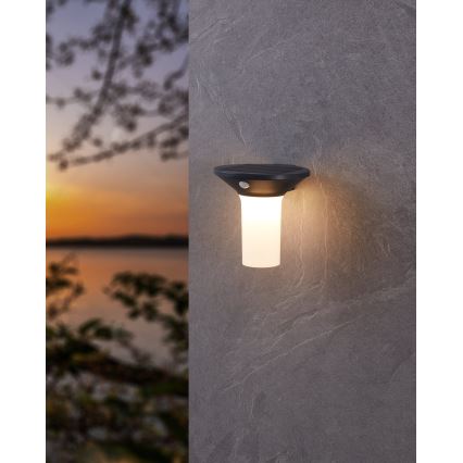 Eglo - Lampă solară LED de exterior cu senzor 6xLED/0,03W/3,7V IP44