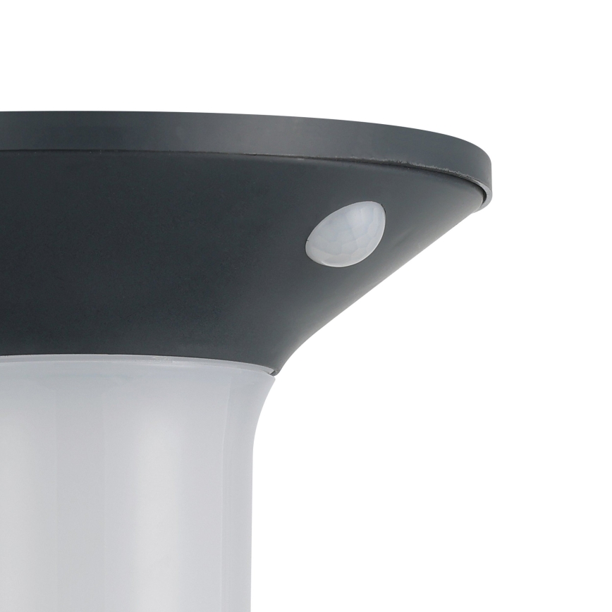 Eglo - Lampă solară LED de exterior cu senzor 6xLED/0,03W/3,7V IP44