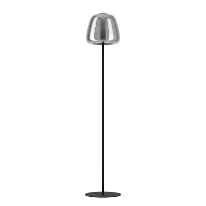 Eglo - Lampadar LED RGBW dimabil, 15,5W/230V, 2700-6500K, fumuriu