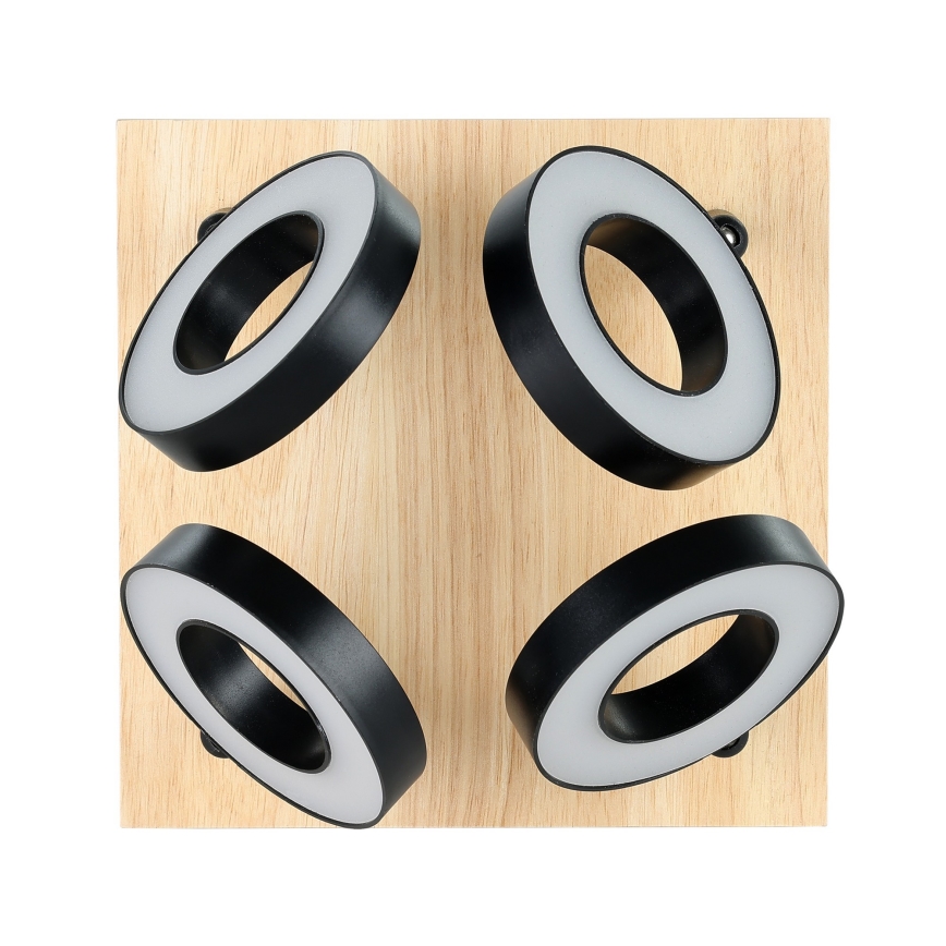 Eglo - Spot LED 4xLED/4,2W/230V, negru/maro