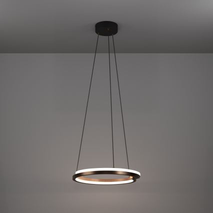 Eglo - Lustra LED reglabilă pe cablu, 2xLED/20W/230V, 2700–6500K, Ø 48 cm, finisaj bronz + telecomandă