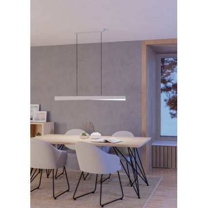 Eglo - Pendul LED RGBW dimabil pe cablu LED/19W/230V 2700-6500K gri