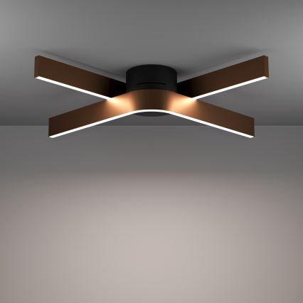 Eglo - Plafonieră LED RGBW dimabilă 2xLED/18W/230V 2700-6500K cupru/negru